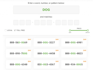 Vanity Voice Phone Number